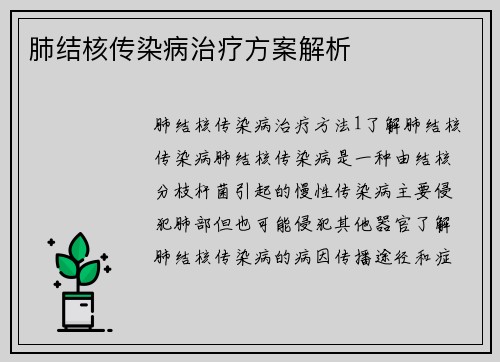 肺结核传染病治疗方案解析